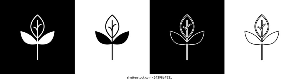 Set Leaf icon isolated Set background. Leaves sign. Fresh natural product symbol.  Vector