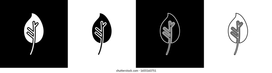 Set Leaf icon isolated on black and white background. Leaves sign. Fresh natural product symbol.  Vector Illustration
