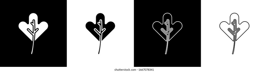 Set Leaf icon isolated on black and white background. Leaves sign. Fresh natural product symbol.  Vector Illustration