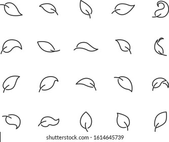set of leaf icon, natural, spring, eco