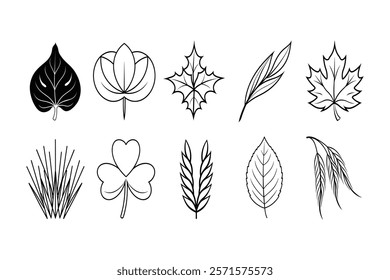 Set of leaf icon on vector illustration