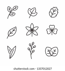 Set of leaf icon with simple line design 