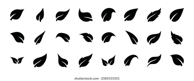 Set of leaf icon symbol vector on white background