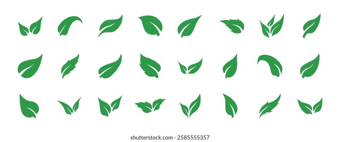 Set of leaf icon symbol vector on white background