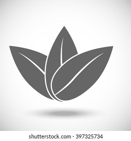 Set Leaf icon, vector