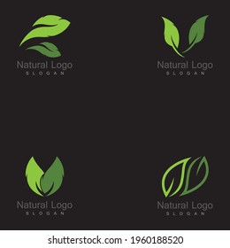 Set of  Leaf icon Vector Illustration design Logo template