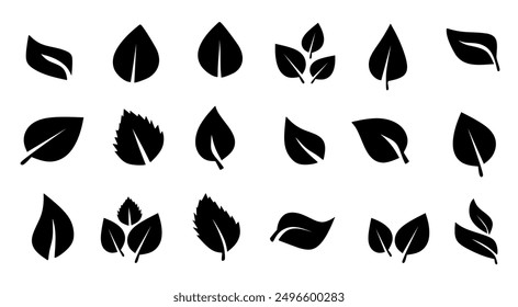 -Set of leaf icons. black color.vector illustration.