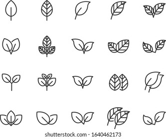 set of  leaf icons, branch, nature, plant, spring