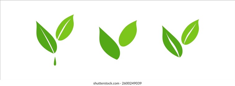 Set of Leaf icons, ecology nature organic element, green leaves flat minimalism illustration, environment and eco friendly concept sign, clip art symbol for label, vegan, save energy and self care