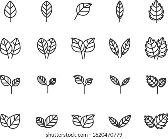 set of leaf icons, environment, nature, green