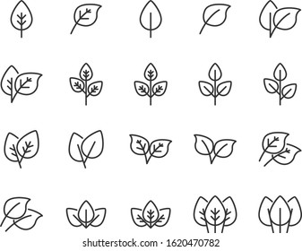 set of leaf icons, environment, nature, green