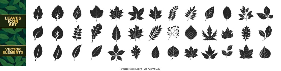 Set of leaf icons isolated on transparent background. Ecology icons. Nature organic isolated illustration. Vegetarian or vegan label