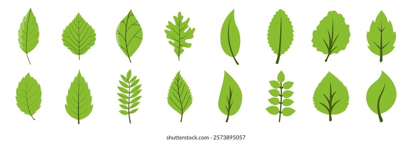 Set of leaf icons isolated on transparent background. Leaves green color icon logo. Ecology icons