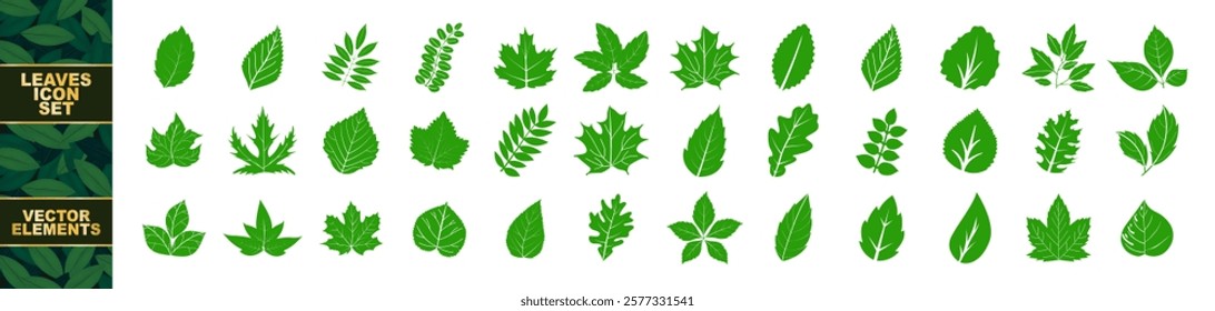 Set of leaf icons isolated on transparent background. Green color. Leaves green color icon logo. Ecology icons