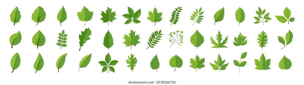 Set of leaf icons isolated on transparent background. Leaves green color icon logo. Ecology icons