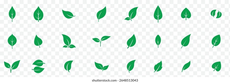 Set of leaf icons. Leaves icon. Leaves of trees and plants. Collection green leaf.  eps 10