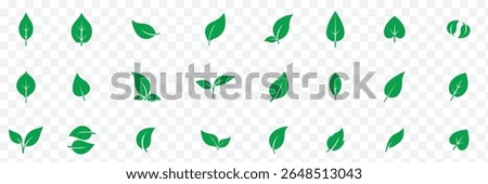 Set of leaf icons. Leaves icon. Leaves of trees and plants. Collection green leaf.  eps 10