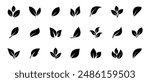 Set of leaf icons. Leaves of trees and plants. Leaves icon. Collection green leaf. Elements design for natural, eco, bio, vegan labels. Vector illustration.