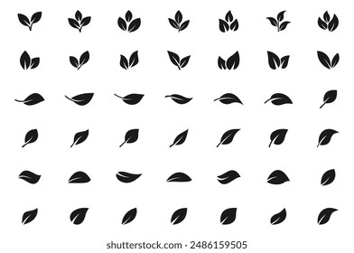 Set of leaf icons. Leaves of trees and plants. Leaves icon. Collection green leaf. Elements design for natural, eco, bio, vegan labels. Vector illustration.