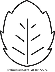 Set of leaf icons. Leaves of trees and plants. Leaves icon. Collection leaf. Elements design for natural, eco, vegan labels. Vector illustration. Leaf Shapes Collection with transparent background.
