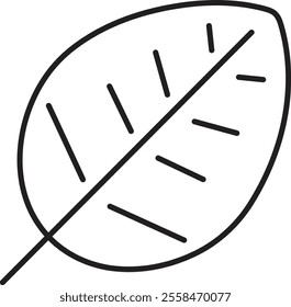 Set of leaf icons. Leaves of trees and plants. Leaves icon. Collection leaf. Elements design for natural, eco, vegan labels. Vector illustration. Leaf Shapes Collection with transparent background.