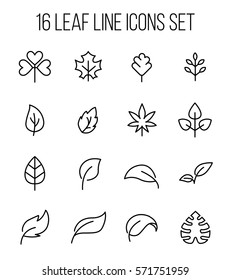 Set of leaf icons in modern thin line style. High quality black outline seeding symbols for web site design and mobile apps. Simple leaf pictograms on a white background.