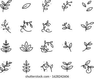 set of leaf icons, natural, spring