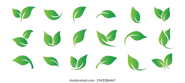 set of leaf icons perfect for green branding, eco-conscious designs, and nature-inspired projects. Enhance your visuals with our versatile collection.