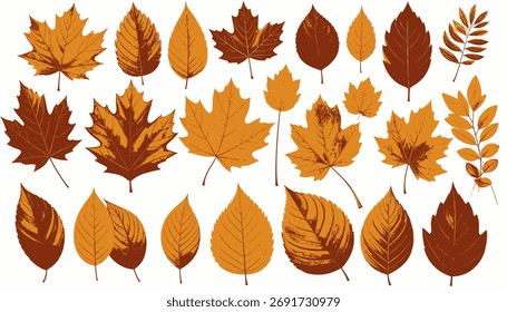 Conjunto de ilustrações de folha em tons de marrom e laranja isoladas em um fundo branco.