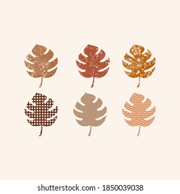 a set of leaf illustrations with a grunge texture for icons or symbols