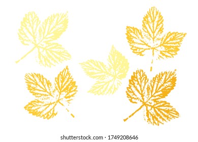 Set of leaf imprints, natural textures. Colored silhouettes of leaves. Overlay template. Vector illustration.