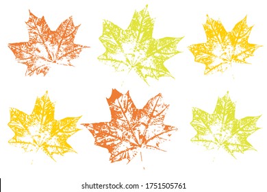 Set of leaf imprints, natural textures. Colored silhouettes of leaves. Isolated objects on white background. Vector illustration. Imprint of maple leaves orange and red.