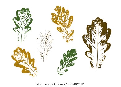 Set of leaf imprints, natural textures. Colored silhouettes of leaves. Set with stamp leaves. Vector illustration. Oak leaves.