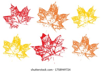 Set of leaf imprints, natural textures. Autumn foliage, vector colored illustration. Overlay template. Vector illustration.