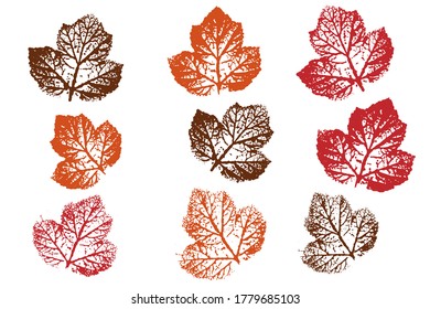 Set of leaf imprints, natural textures.  Objects isolated on white. Overlay template. Vector illustration.