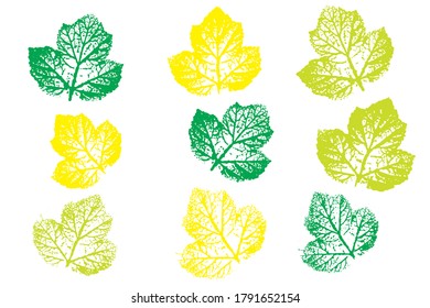 Set of leaf imprints, natural textures. Natural ink imprint of autumn leaf with streaks and texture. Overlay template. Vector illustration.