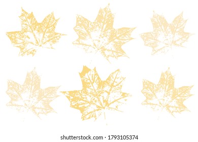 Set of leaf imprints, natural textures. Autumn foliage, vector colored illustration. Isolated objects on white background. Vector illustration.