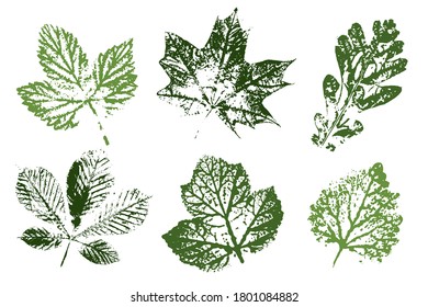 Set of leaf imprints, natural textures.  Objects isolated on white. Overlay template. Vector illustration.