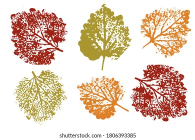 Set of leaf imprints, natural textures. Colored silhouettes of leaves. Isolated objects on white background. Vector illustration.