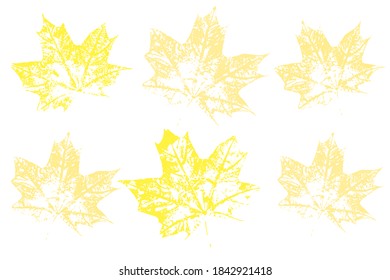 Set of leaf imprints, natural textures. Colored silhouettes of leaves. Set with stamp leaves. Vector illustration.