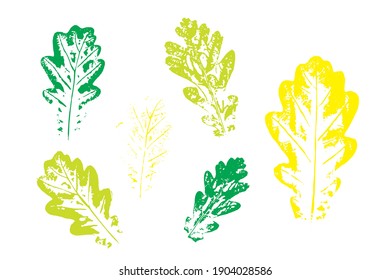 Set of leaf imprints, natural textures. Autumn foliage, vector colored illustration. Isolated objects on white background. Vector illustration.