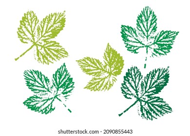 Set of leaf imprints, natural textures. Colored silhouettes of leaves. Set with stamp leaves. Vector illustration.