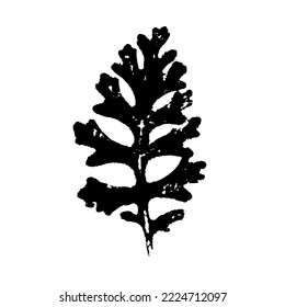 Set of leaf ink prints. Autumn herbarium, stamps leaves of trees. Grunge texture. Vector illustration. Black and white.