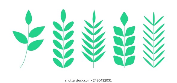 Set of leaf isolated on white background.