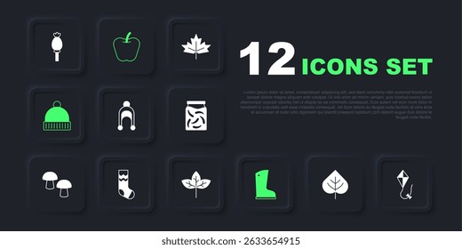 Set Leaf, Kite, Winter hat, Waterproof rubber boot, Socks, Apple and  icon. Vector