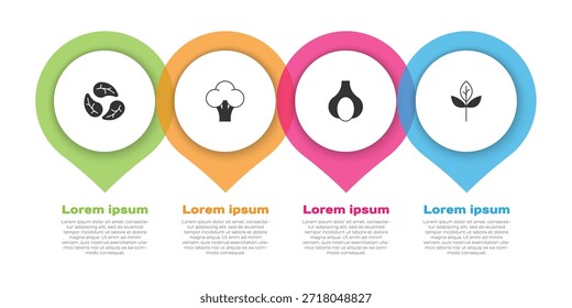 Conjunto de hojas o hojas, brócoli, ajo y . Plantilla de infografía de negocios. Vector