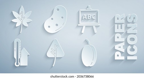 Set Leaf or leaves, Chalkboard, Meteorology thermometer, Plum fruit, Potato and  icon. Vector