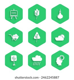 Set Leaf or leaves, Cloud with rain, Human head leaf, Sun and cloud weather, Tree, Wheelbarrow dirt, Onion and Chalkboard icon. Vector