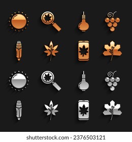 Set Leaf or leaves, Grape fruit, on mobile phone, Corn, Onion, Sun and Magnifying glass with leaf icon. Vector