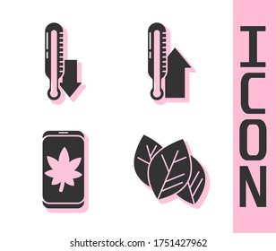 Set Leaf or leaves, Meteorology thermometer, Leaf on mobile phone and Meteorology thermometer icon. Vector